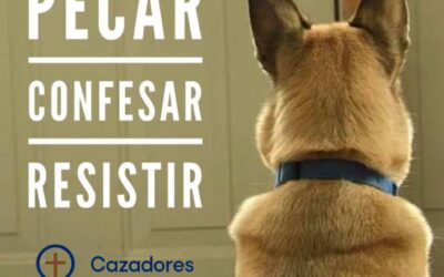 Pecar, confesar, resistir
