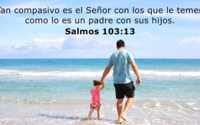 Apariencia, desempeño y posición