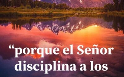 Disciplina o castigo