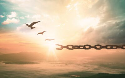 Doce pasos hacia el perdón